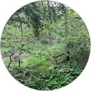 Imogen Ransome profile picture